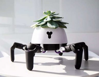 Robot tipo cangrejo que lleva a cuesta una planta para cuidarla.