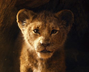 Simba cachorro en El Rey León