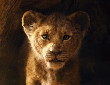 Simba cachorro en El Rey León